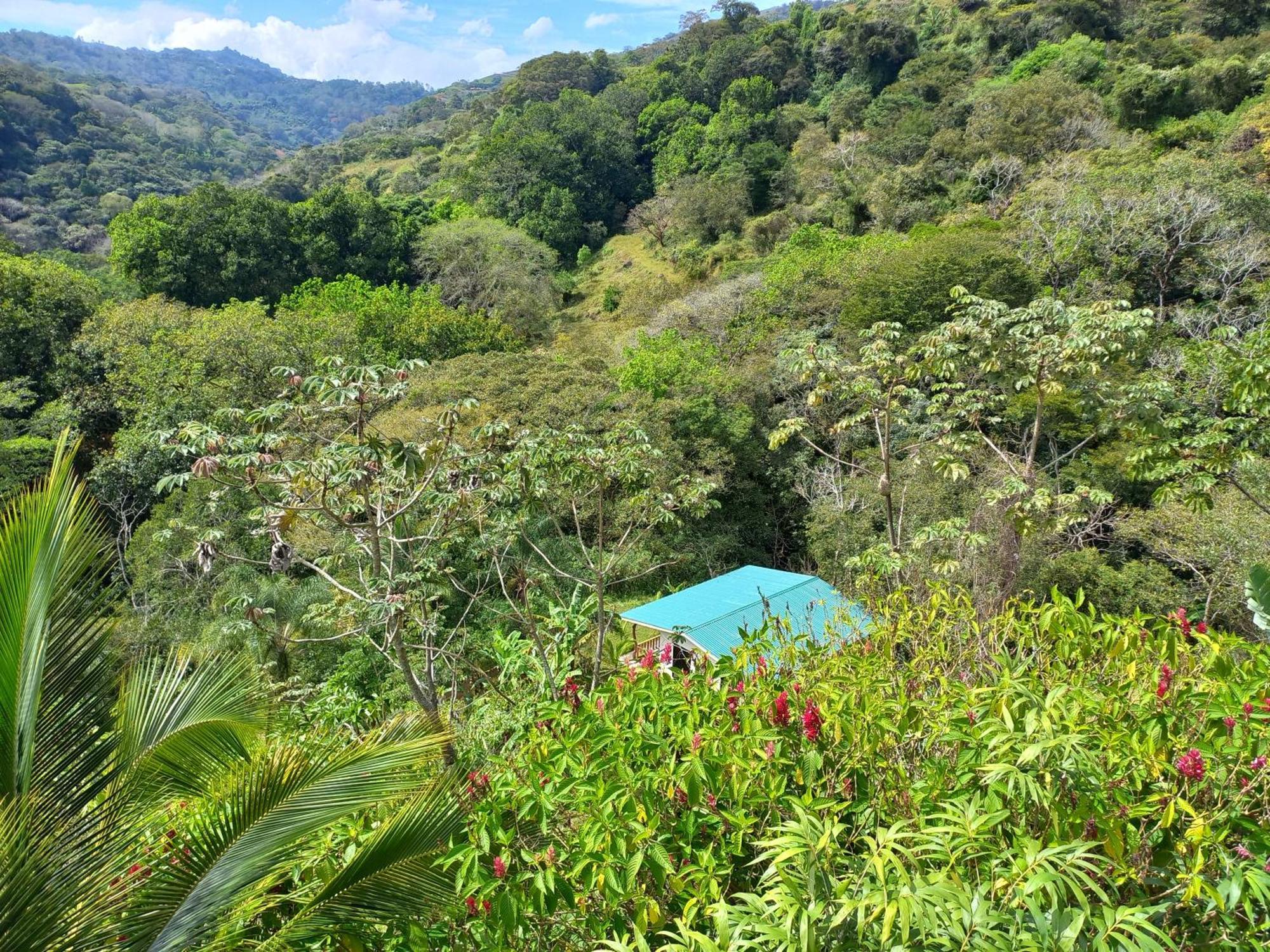 Casa El Colibri Naranjo (Alajuela)