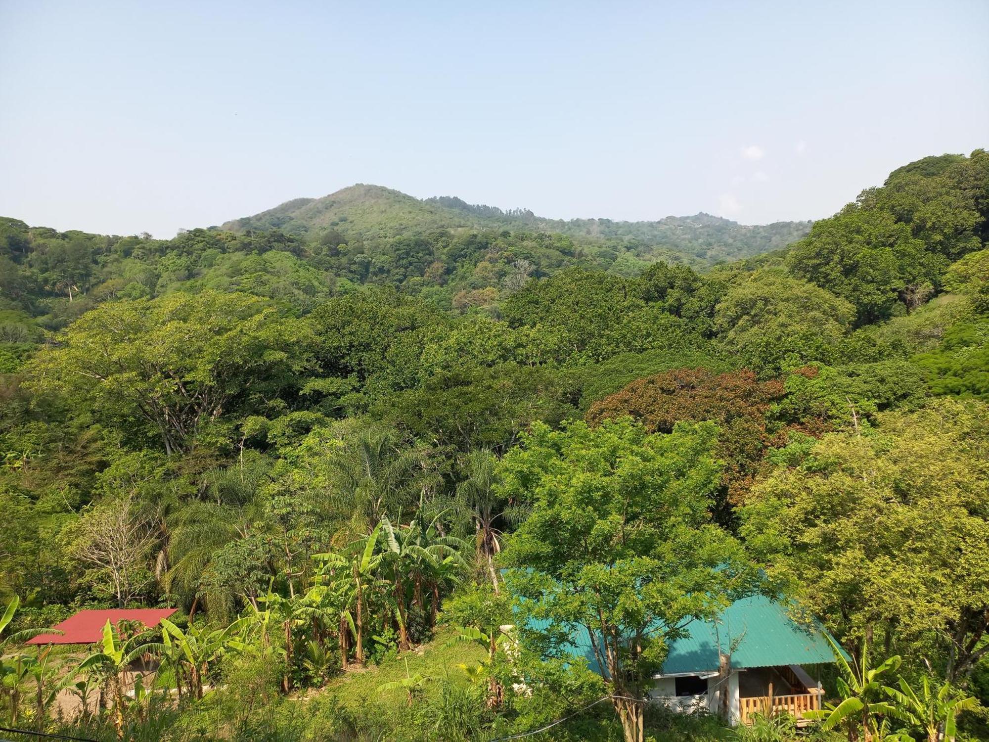 Casa El Colibri Holiday home Naranjo (Alajuela)